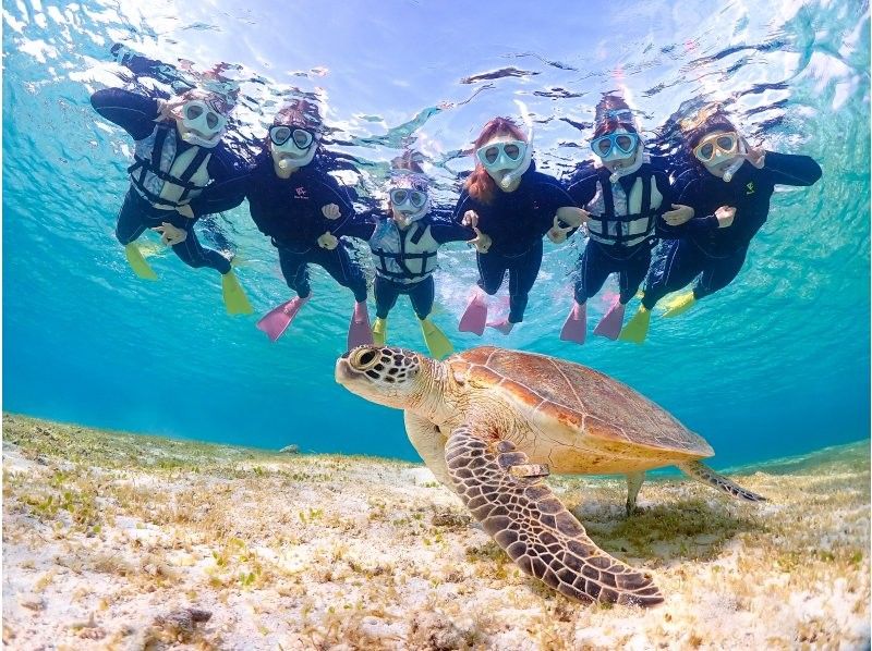 [Miyakojima] 100% chance of encountering them!! Beginners and children welcome!! A special snorkeling experience where you can swim up close with sea turtles and tropical fish!! Free high-resolution photos!!の紹介画像