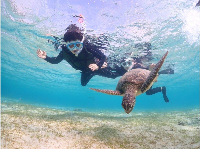 【宮古島】インスタ映え！ウミガメと泳げる贅沢なシュノーケリングツアー！高画質写真データ&器材全て無料！！初心者やお子様でも大歓迎！！！