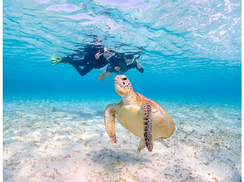 [Miyakojima] 100% chance of encountering them!! Beginners and children welcome!! A special snorkeling experience where you can swim up close with sea turtles and tropical fish!! Free high-resolution photos!!の紹介画像