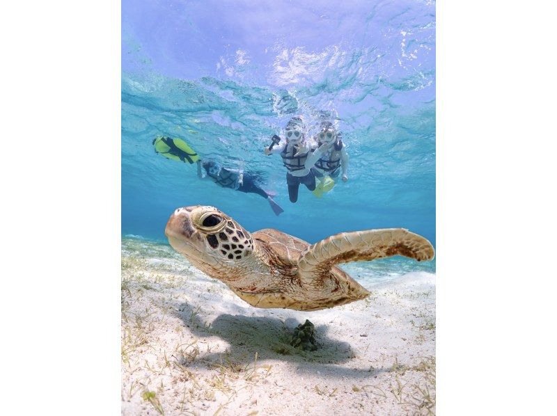 [Miyakojima | Sea turtle encounter rate is almost 100%] Small-group snorkeling tour for beginners | / Safe even in winter / Same-day reservations available / Free high-resolution dataの紹介画像
