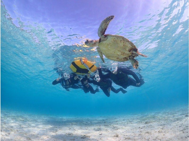 【宮古島】インスタ映え！ウミガメと泳げる贅沢なシュノーケリングツアー！高画質写真データ&器材全て無料！！初心者やお子様でも大歓迎！！！