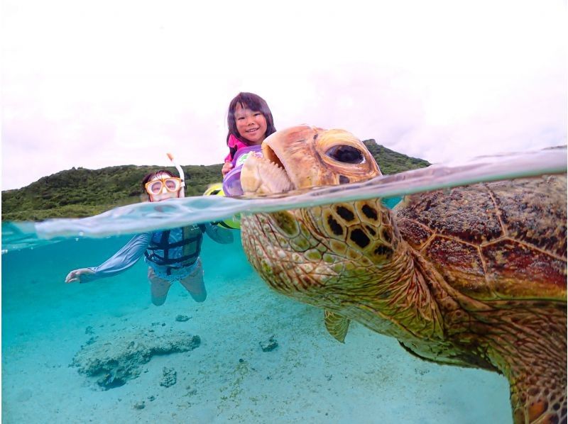 [Miyakojima] 100% encounter rate continues! Beginners and children welcome! A special snorkeling experience where you can swim up close with sea turtles and tropical fish! Free high-resolution photos!の紹介画像