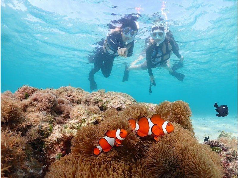 【宮古島】インスタ映え！ウミガメと泳げる贅沢なシュノーケリングツアー！高画質写真データ&器材全て無料！！初心者やお子様でも大歓迎！！！