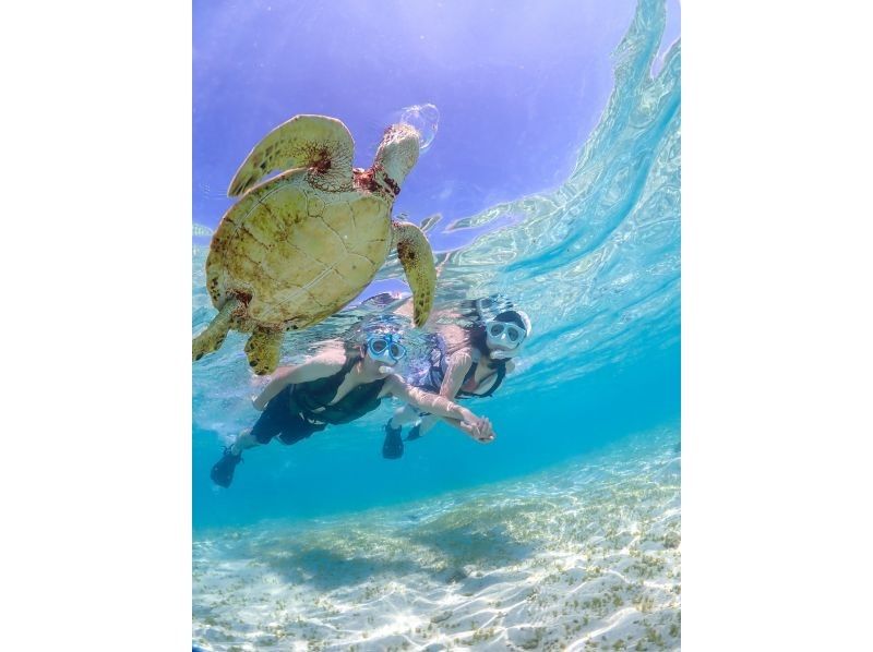 [Miyakojima] 100% encounter rate continues! Beginners and children welcome! A special snorkeling experience where you can swim up close with sea turtles and tropical fish! Free high-resolution photos!の紹介画像