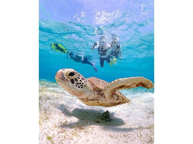 [Miyakojima] 100% chance of encountering them!! Beginners and children welcome!! A special snorkeling experience where you can swim up close with sea turtles and tropical fish!! Free high-resolution photos!!の紹介画像