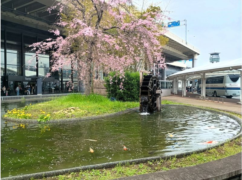 成田空港見学ツアー（3ターミナル早回り）★4/9 第1ターミナル「展望デッキ」 リニューアルオープン！の紹介画像