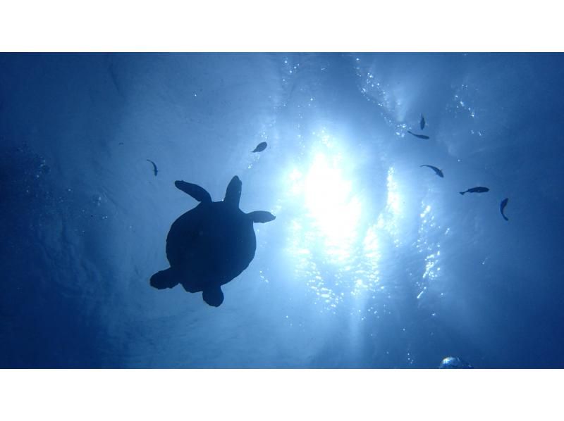 【玻璃船】+【2種噴射海上運動】+【藍洞船浮潛】沖繩全日享受套餐！の紹介画像