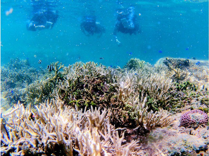 【沖縄・久米島】カヤック&シュノーケリング　(初心者&middot;お子様連れもOK(0歳～)［現地集合プラン］の紹介画像