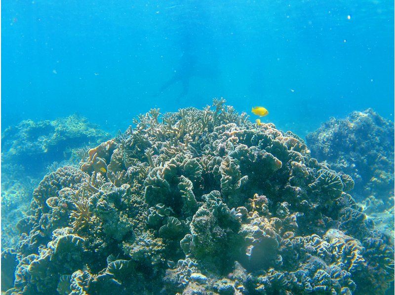 【沖縄・久米島】カヤック&シュノーケリング　(初心者&middot;お子様連れもOK(0歳～)［現地集合プラン］の紹介画像