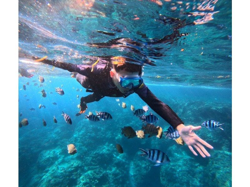 SALE! [Single person plan☆] Private tour! Blue cave snorkeling in Onna Village, Okinawaの紹介画像