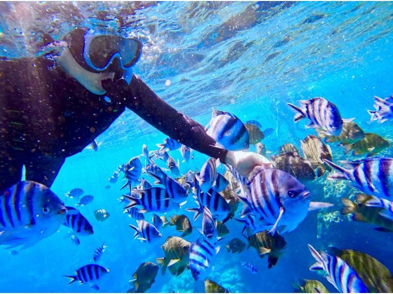 【ソロ活歓迎☆お一人様プラン】沖縄恩納村・青の洞窟シュノーケリング！当日予約可能◎18歳～65歳までOK♪老若男女に人気のプラン！の紹介画像