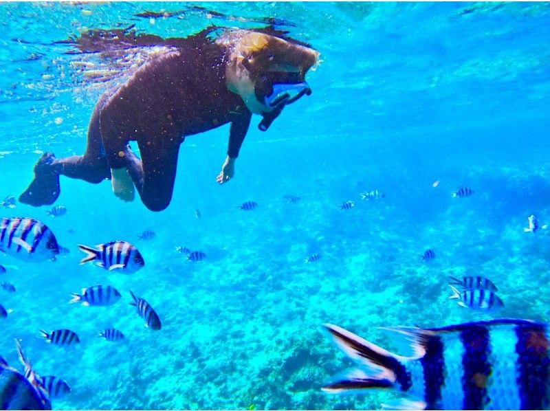 【ソロ活歓迎☆お一人様プラン】沖縄恩納村・青の洞窟シュノーケリング！当日予約可能◎18歳～65歳までOK♪老若男女に人気のプラン！の紹介画像