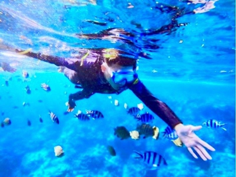 【ソロ活歓迎☆お一人様プラン】沖縄恩納村・青の洞窟シュノーケリング！当日予約可能◎18歳～65歳までOK♪老若男女に人気のプラン！の紹介画像