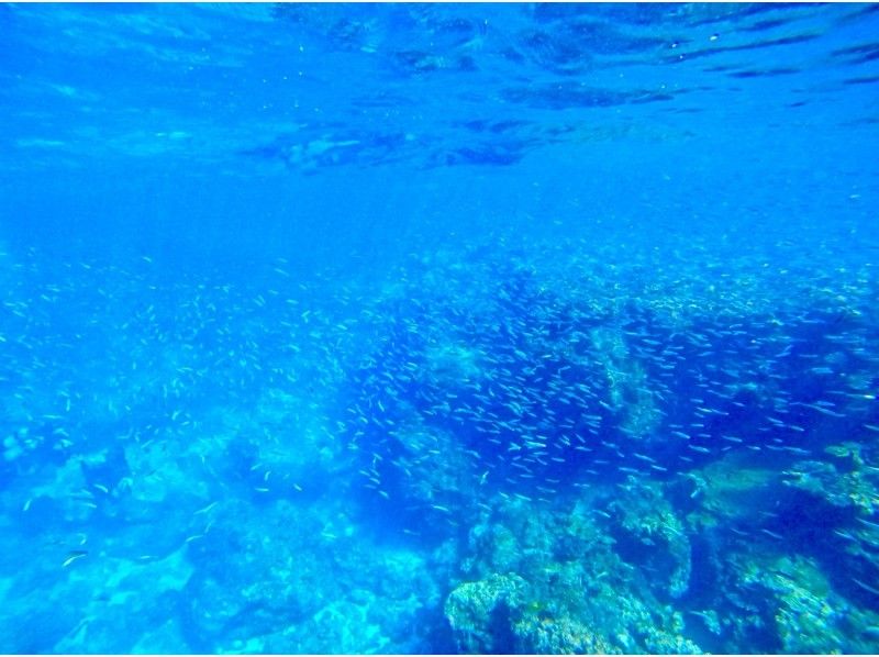 【ソロ活歓迎☆お一人様プラン】沖縄恩納村・青の洞窟シュノーケリング！当日予約可能◎18歳～65歳までOK♪老若男女に人気のプラン！の紹介画像