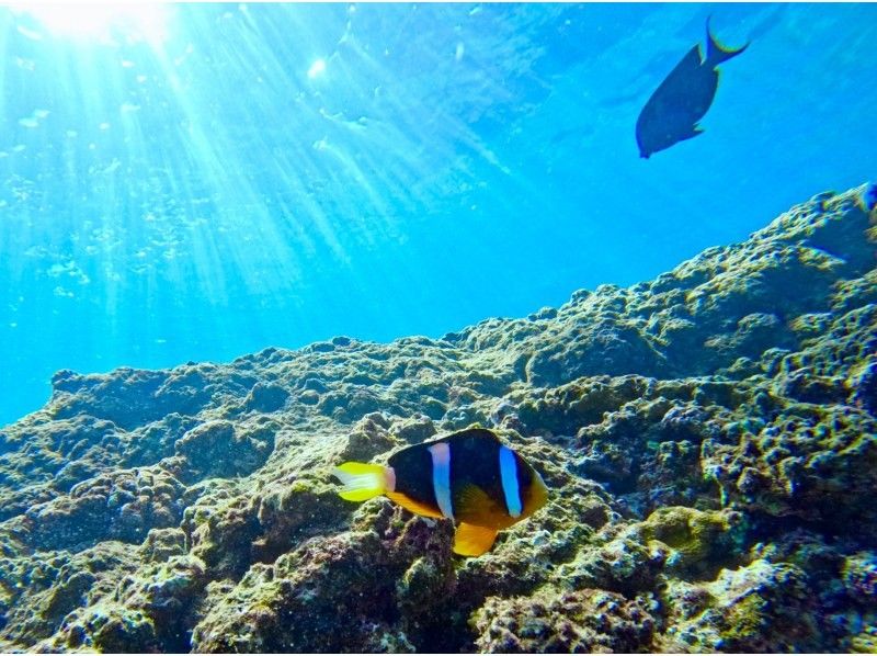 【ソロ活歓迎☆お一人様プラン】沖縄恩納村・青の洞窟シュノーケリング！当日予約可能◎18歳～65歳までOK♪老若男女に人気のプラン！の紹介画像