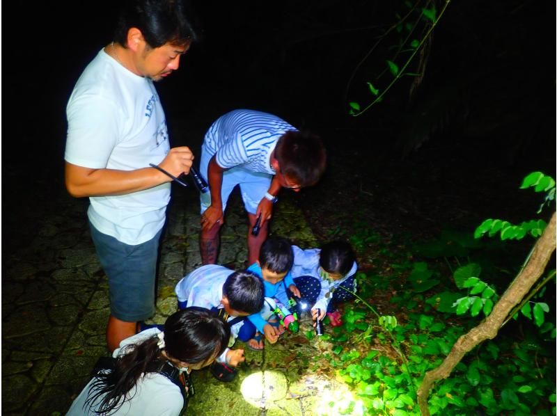 [Miyakojima/Night] Jungle Night Tour & Stargazing ★ Rare Tropical Creature Search Exploration Tour ★ Recommended for Families ★ Super Summer Sale 2024の紹介画像