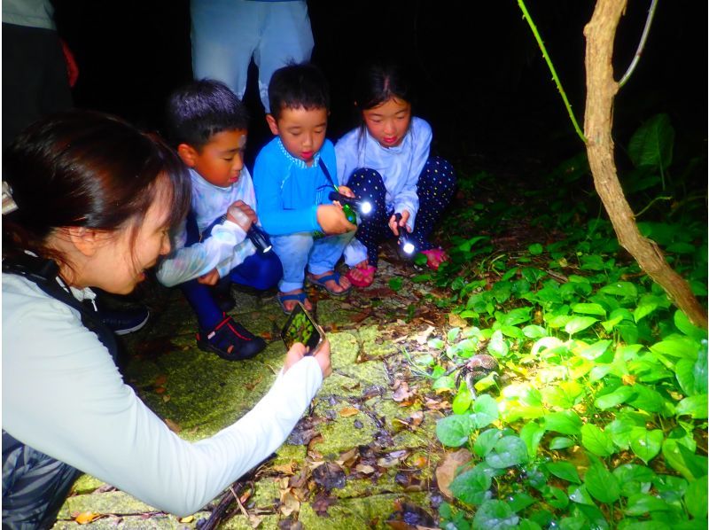 宮古島で夜遊びするなら何がおすすめ？子供も楽しめるナイトツアー人気ランキングを紹介！