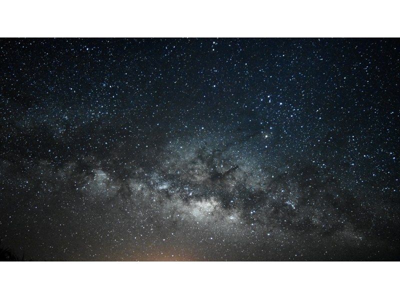 【宮古島/夜】ジャングルナイトツアー&満点星空鑑賞★レアな南国の生物探し探検ツアー★カップル/ファミリー/お1人様おすすめ★の紹介画像