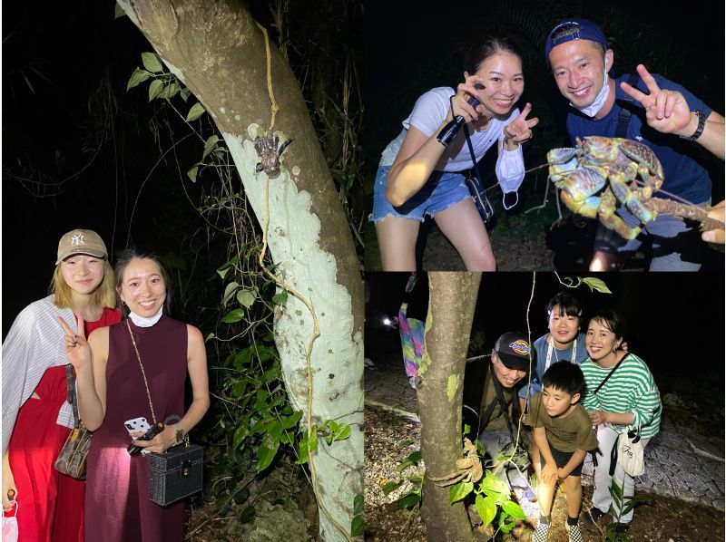 [Miyakojima/Night] Jungle night tour & stargazing ★ Exploration tour to find rare tropical creatures ★ Recommended for families ★の紹介画像