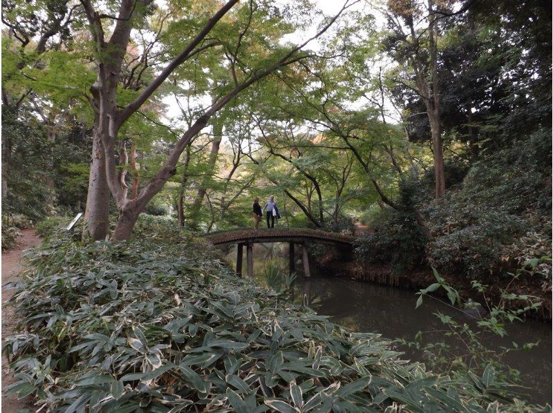 【東京・巣鴨】洗い観音　健康祈念と広大な日本庭園　六義園　散策の紹介画像