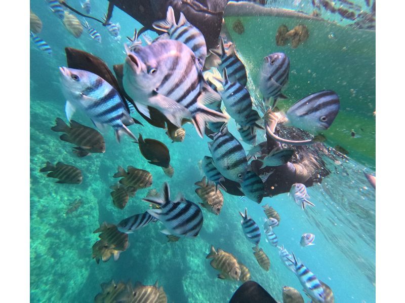  当日予約OK!　【沖縄恩納村】初心者ラウサップとロングタイム青の洞窟スノーケリング　ラウサップ　GOPRO撮影無料　＃ラウ兄のお店　の紹介画像