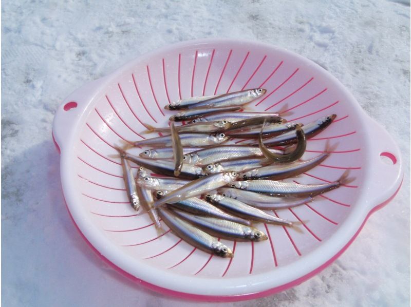 [Hokkaido, Sapporo suburbs, Ibaraki River] Ice fishing for smelt starting at 8:30 AM ◆Includes a 1,000 yen Chateraise dessert voucher or hot spring bath voucherの紹介画像