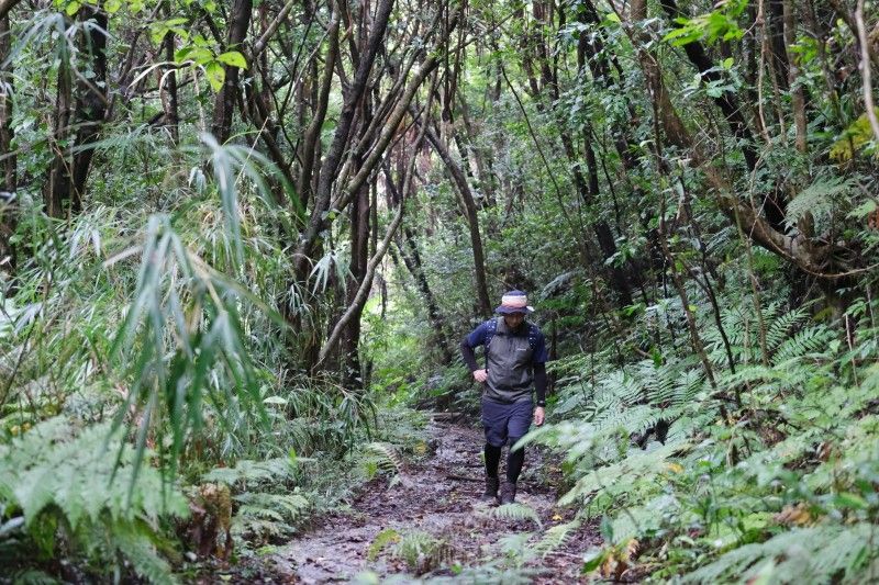 沖縄の事業者「ジオと星のガイド」が実施するトレッキング体験の様子