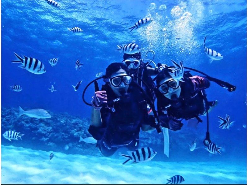 【沖縄・青の洞窟】ボートエントリー  青の洞窟 体験ダイビングの紹介画像