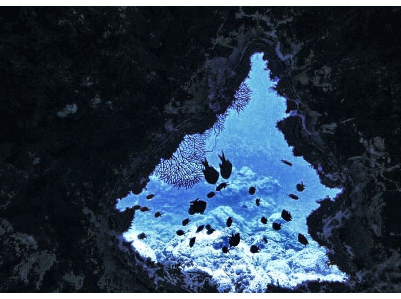 【沖縄・青の洞窟】ボートエントリー  青の洞窟 スキューバダイビングの紹介画像