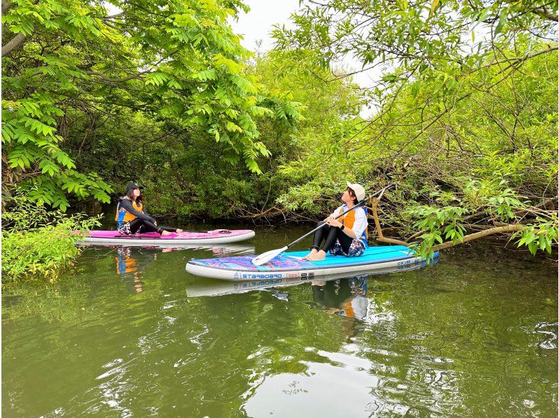 SALE! [10 minutes walk from Yoichi Station] A hidden gem! A relaxing river SUP on the Yoichi River, flowing through nature. Popular with first timers, couples and families on girls' trips.の紹介画像