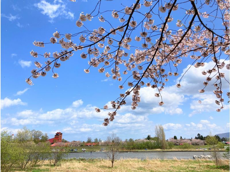 Spring sale underway [Hokkaido, Yoichi, Shakotan, Otaru] Relaxing flow ♪ Spring Yoichi River cruising SUP Wet suit rental free!の紹介画像
