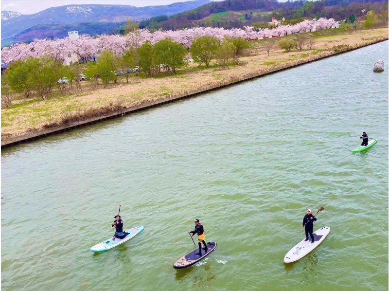 [距余市站步行7分钟] 在余市川上悠闲地体验SUP。春季，可以租用干式潜水服。の紹介画像