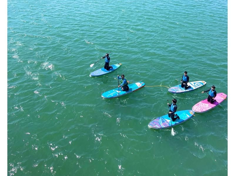 SALE! [10 minutes walk from Yoichi Station] A hidden gem! A relaxing river SUP on the Yoichi River, flowing through nature. Popular with first timers, couples and families on girls' trips.の紹介画像