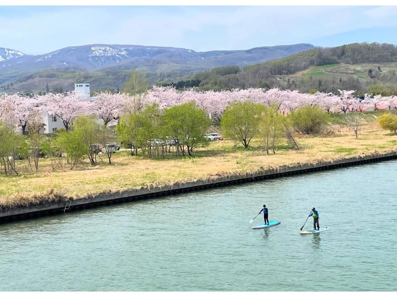 【春限定・余市駅徒歩7分】桜の時期はお花見SUPも♪余市川静水リバーSUP・春はドライスーツ完備・レンタル無料で安心♪ 写真データ無料の紹介画像