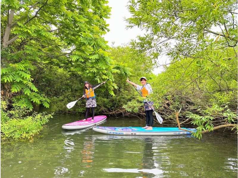 【春限定・余市駅徒歩7分】桜の時期はお花見SUPも♪余市川静水リバーSUP・春はドライスーツ完備・レンタル無料で安心♪ 写真データ無料の紹介画像