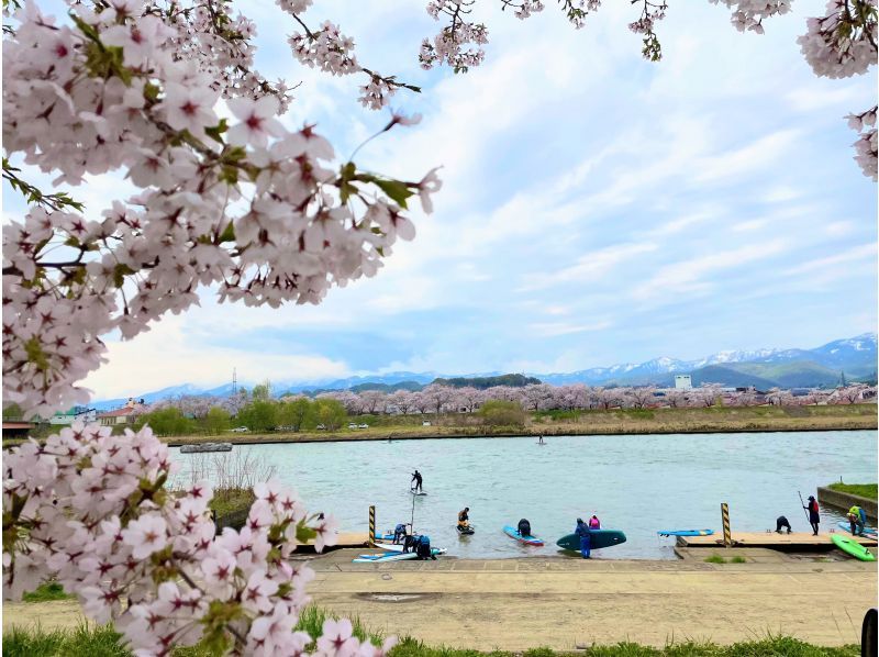 【距離餘市站步行7分鐘】在平靜的餘市川上悠閒地體驗SUP の紹介画像