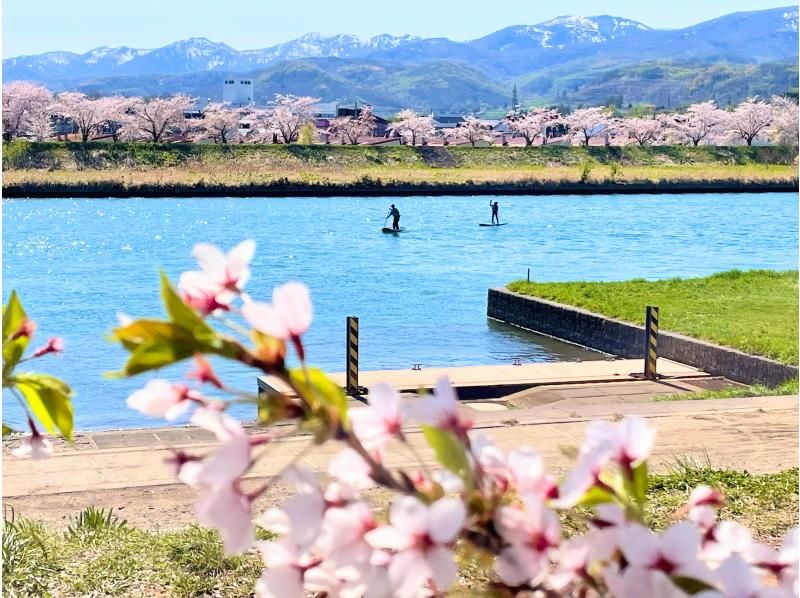 【春限定・余市駅徒歩7分】桜の時期はお花見SUPも♪余市川静水リバーSUP・春はドライスーツ完備・レンタル無料で安心♪ 写真データ無料の紹介画像