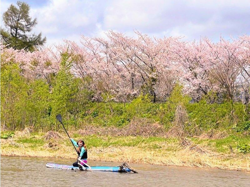 [Hokkaido, Yoichi, Shakotan, Otaru] A leisurely flow! Spring Yoichi River Cruising SUP Free Wetsuit Rental!の紹介画像