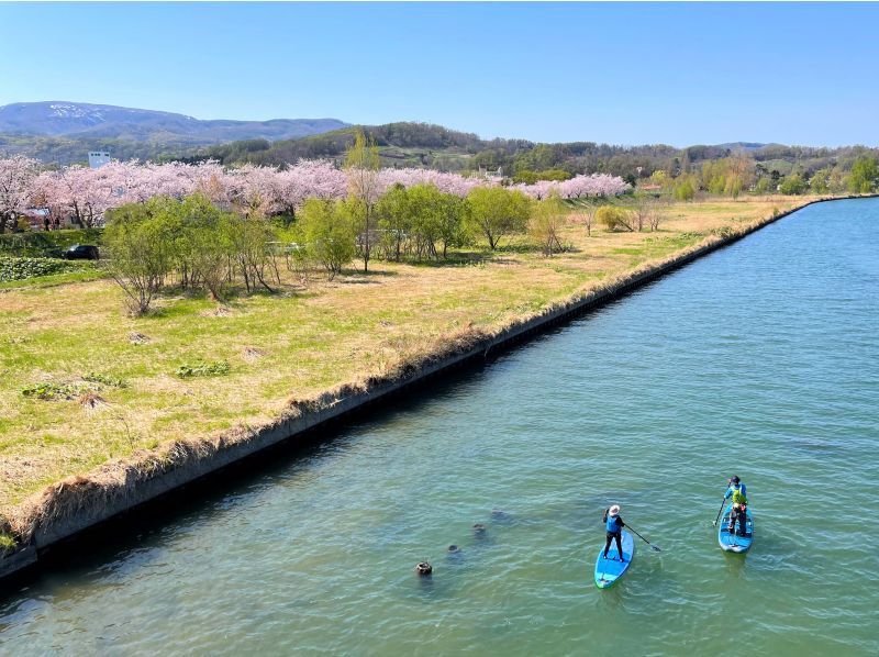 [7 minutes walk from Yoichi Station] Relaxing river SUP on the calm waters of the Yoichi River の紹介画像