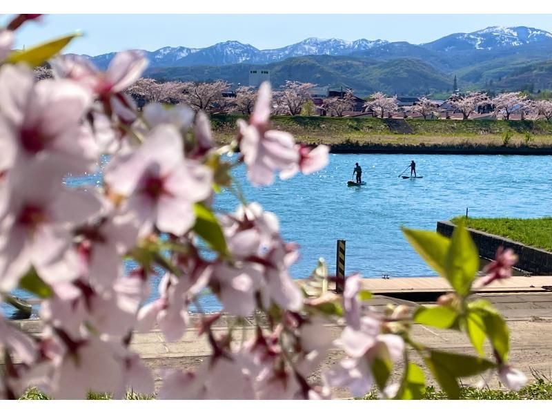 SALE! [10 minutes walk from Yoichi Station] A hidden gem! A relaxing river SUP on the Yoichi River, flowing through nature. Popular with first timers, couples and families on girls' trips.の紹介画像