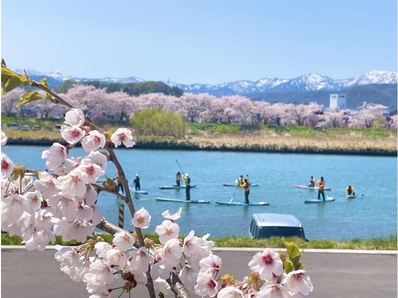 【春限定・余市駅徒歩7分】桜の時期はお花見SUPも♪余市川静水リバーSUP・春はドライスーツ完備・レンタル無料で安心♪ 写真データ無料の紹介画像