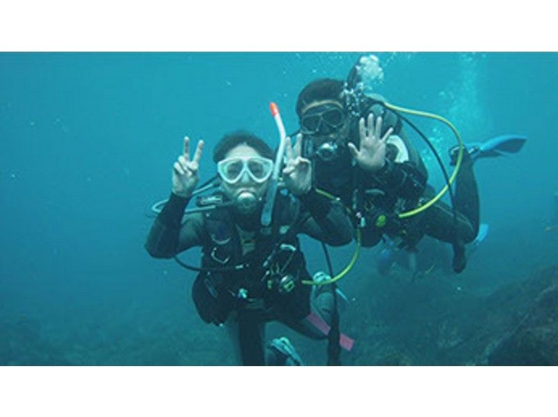 [Izu Oshima] for the first time underwater Experience the world Divingの紹介画像