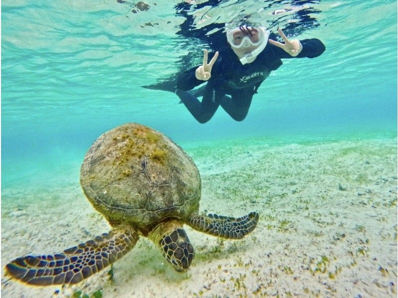 【宮古島･年齢制限なし】本当に出会える★海亀シュノーケル【子供料金有り・当日予約OK♪・ウェットスーツ体験料込み・未就学児・60歳以上可能】の紹介画像
