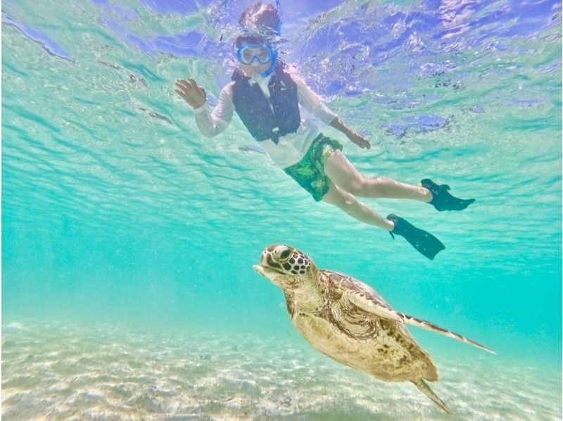 【宮古島･年齢制限なし】本当に出会える★海亀シュノーケル【子供料金有り・当日予約OK♪・ウェットスーツ体験料込み・未就学児・60歳以上可能】の紹介画像