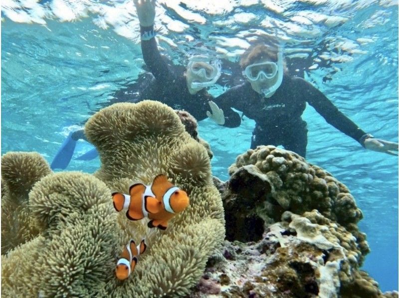 【宮古島･年齢制限なし】家族利用歓迎★海亀シュノーケル【子供料金有り・当日予約OK♪・ウェットスーツ体験料込み・60歳以上可能・撮影費込み】の紹介画像