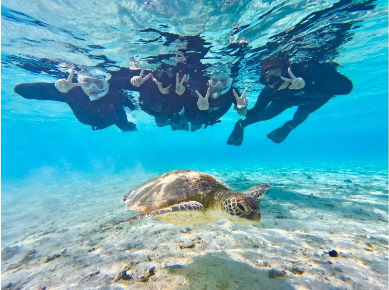 【宮古島・1組貸切】本当に出会える！海亀シュノーケル★12歳以下は子供料金★ウェットスーツ体験料金込み‼︎撮影費も込み込みです♪の紹介画像