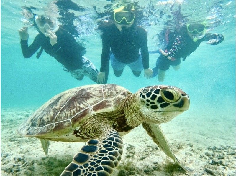 【宮古島・1組貸切】本当に出会える！海亀シュノーケル★12歳以下は子供料金★ウェットスーツ体験料金込み‼︎撮影費も込み込みです♪の紹介画像