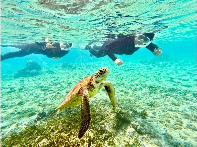 【宮古島・1組貸切】本当に出会える！海亀シュノーケル★12歳以下は子供料金★ウェットスーツ体験料金込み‼︎撮影費も込み込みです♪の紹介画像