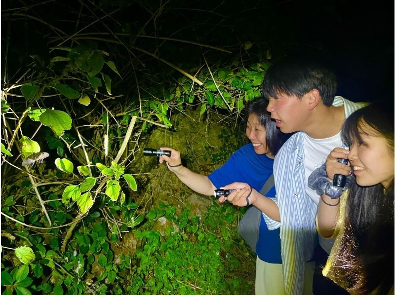【宮古島・ターザンガイドがご案内‼︎】星空&ジャングルナイトツアー☆《12歳未満は子供料金‼︎当日歓迎♪体験60分》の紹介画像