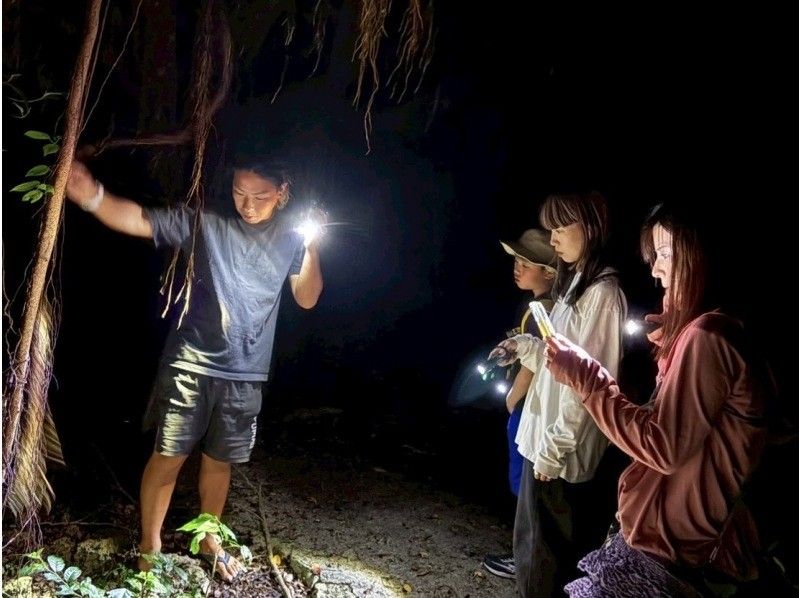 【宮古島・ターザンガイドがご案内‼︎】星空&ジャングルナイトツアー☆《12歳未満は子供料金‼︎当日歓迎♪体験60分》の紹介画像